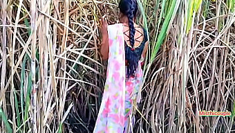 Outdoor Indian Sex With A Hot Neighbor Aunt In A Sugarcane Field