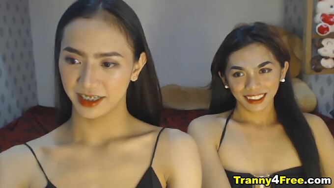 Asiatisk petite transgender giver fantastisk dobbelt blowjob