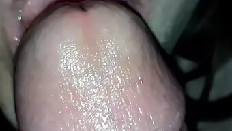 My Wife Gives Me Oral Pleasure In This European Porn Video